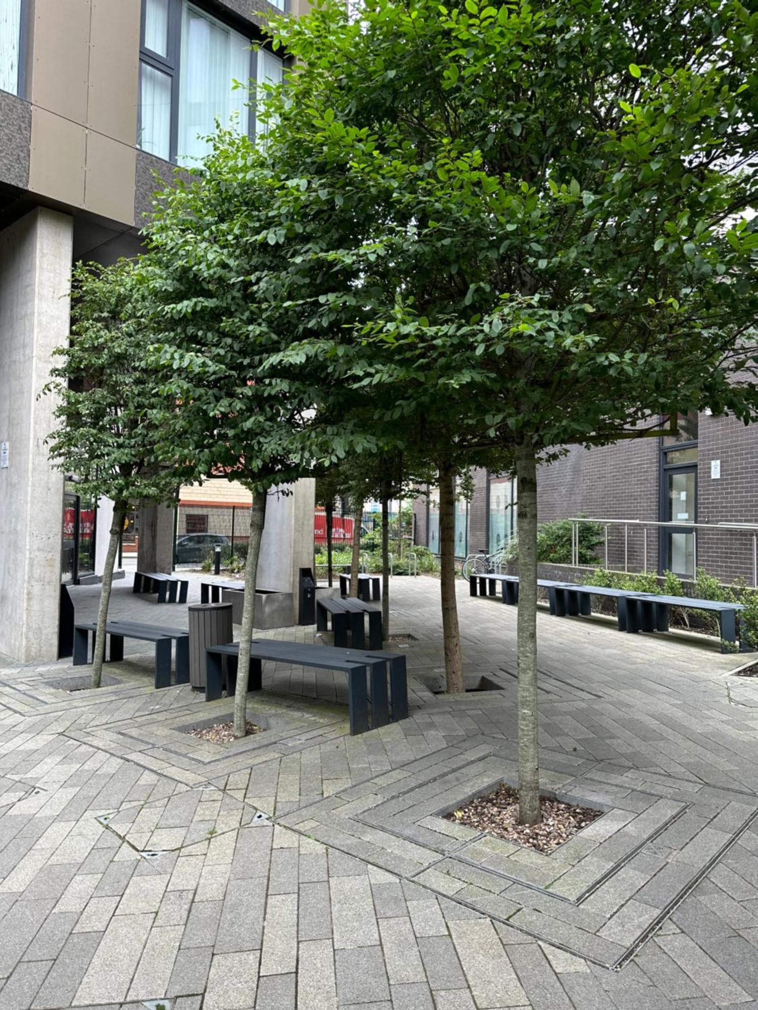 Cozy Centre With Free Parking And Free Gym *